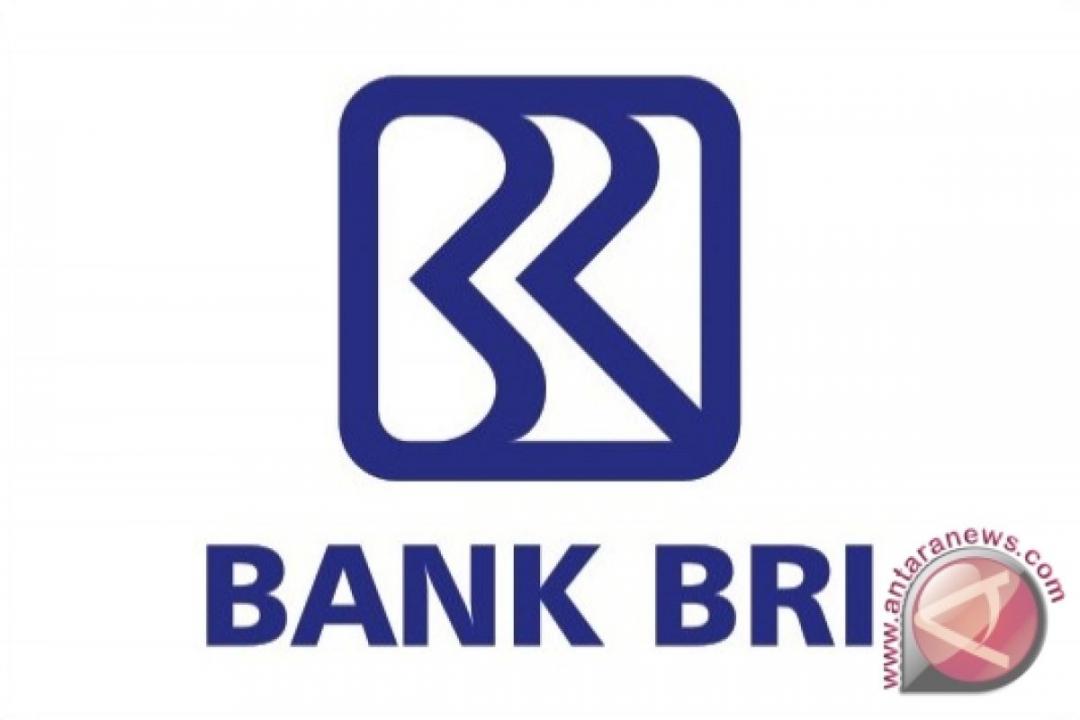 Bagaimana cara berbicara dengan CS BRI 0881010912007