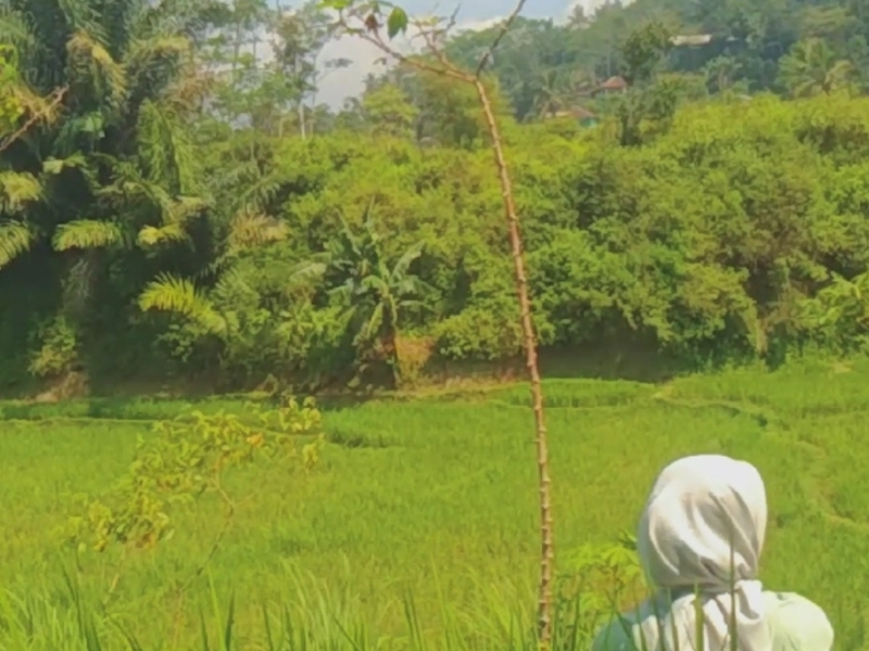 Kampung Balong : Jejak Sejarah yang Tersimpan dalam Nama kampung   