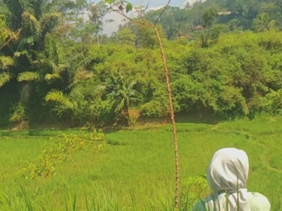 Kampung Balong : Jejak Sejarah yang Tersimpan dalam Nama kampung    
