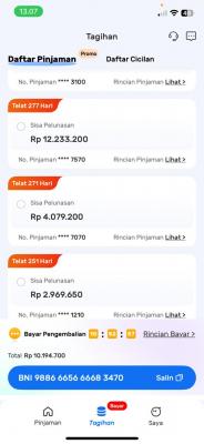 Layanan Customer Service CS Call Center Dana Pinjam 