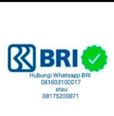 Panduan begini cara buka blokir Brimo tanpa ke bank cara atasi buka blokir akun Brimo terblokir
