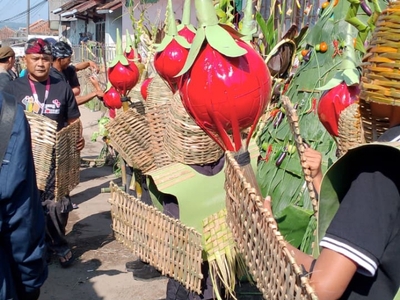 Rempug Tarung Adu Tomat di Kampung Cikareumbi: Tradisi Budaya yang Sarat Makna  