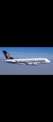 Tips reschedule penerbangan tiket SINGAPORE AIRLINES